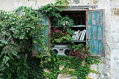 《孤岛惊魂6》由育碧10家工作室联合开发 育碧上海参与其中